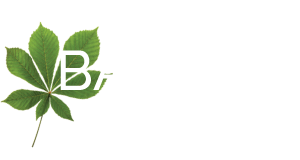Bastion Group